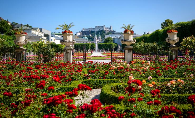 Salzburg - záhrada kvetov