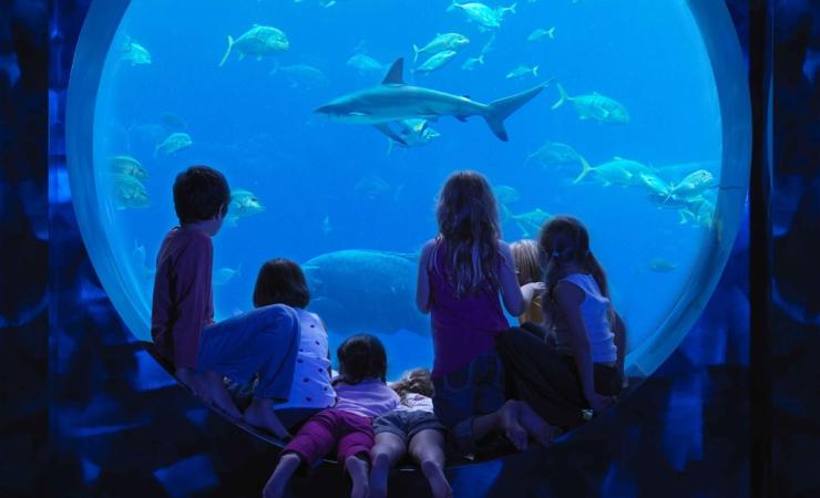 Dubaj - svet fantastických atrakcií- akvárium
