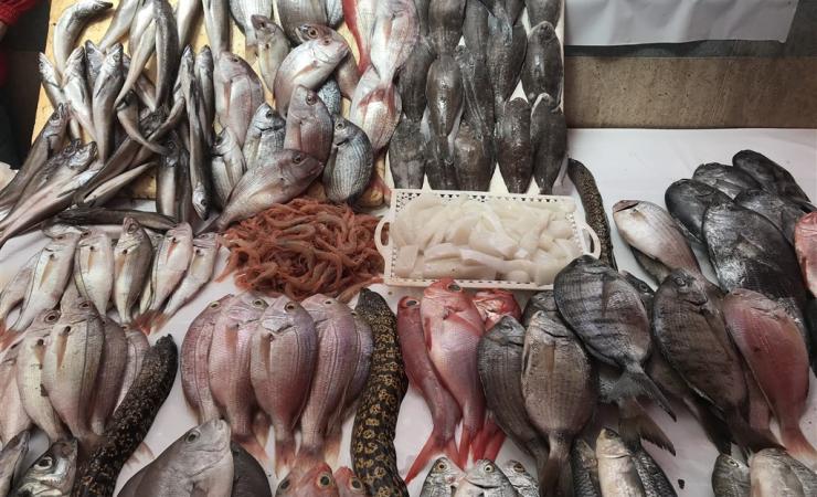 Ryby na trvhovh