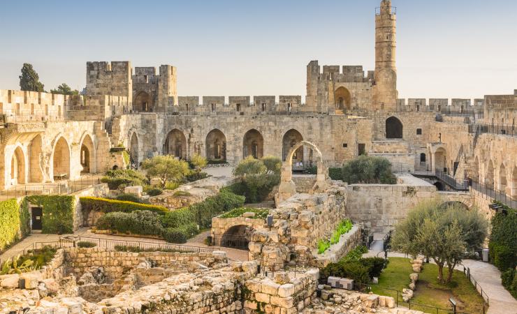 Hradné múry starého Jeruzalema s olivami. 