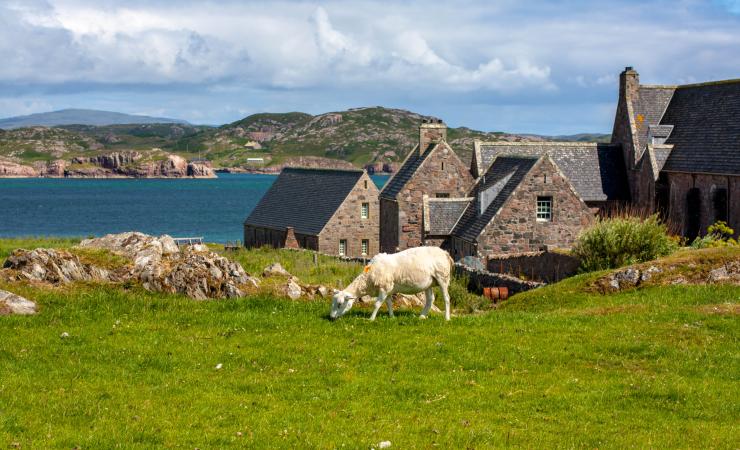 Orkneje a Hebridy - divoké Škótske ostrovy, poznávací zájazd