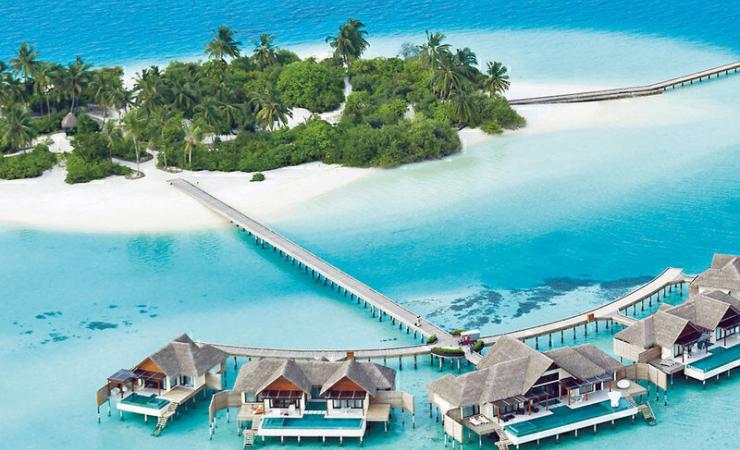 Maldivy.