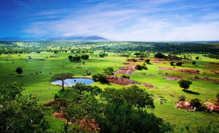 https://cms.satur.sk/data/imgs/tour_image/orig/savanna-in-bloom-in-tanzania-africa-panorama-depositphotos_19230819_xl-2015-2139581.jpg
